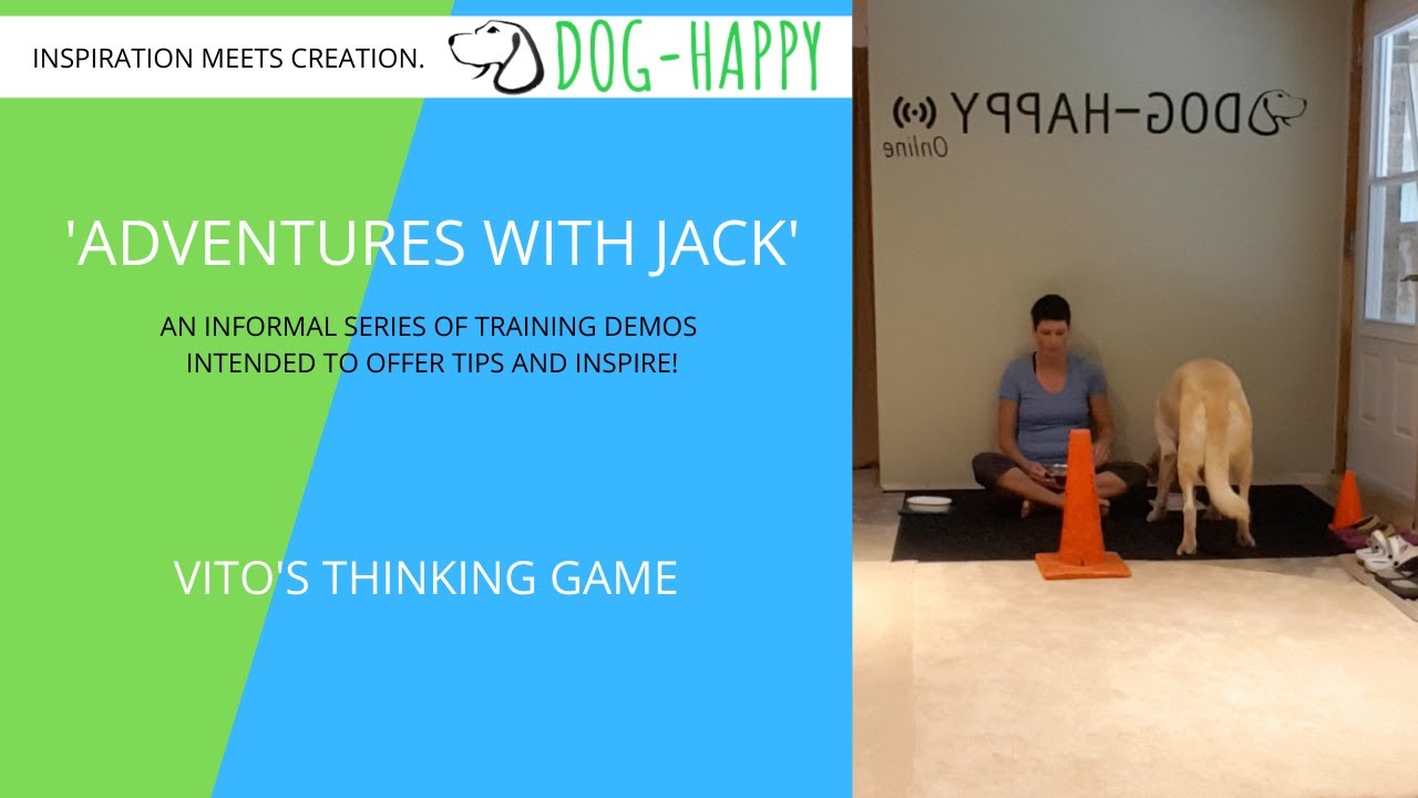 Vito's Thinking Game | DOG-HAPPY Dog Training | 'Adventures with Jack'