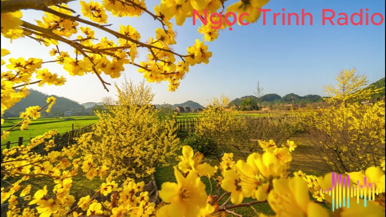 Truyện Đêm Khuya 2026 | MẸ VỢ TUỔI HỒI XUÂN