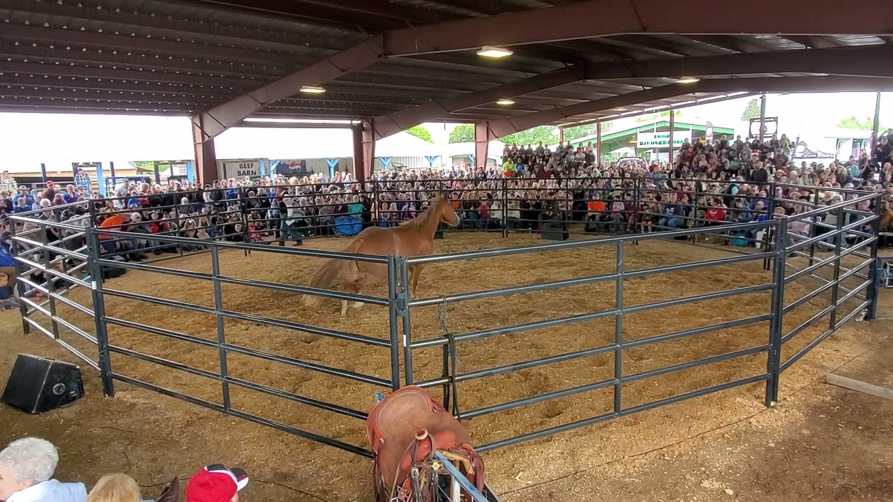 BORN WILD FULL RECORDING AT EASTERN OREGON LIVESTOCK SHOW