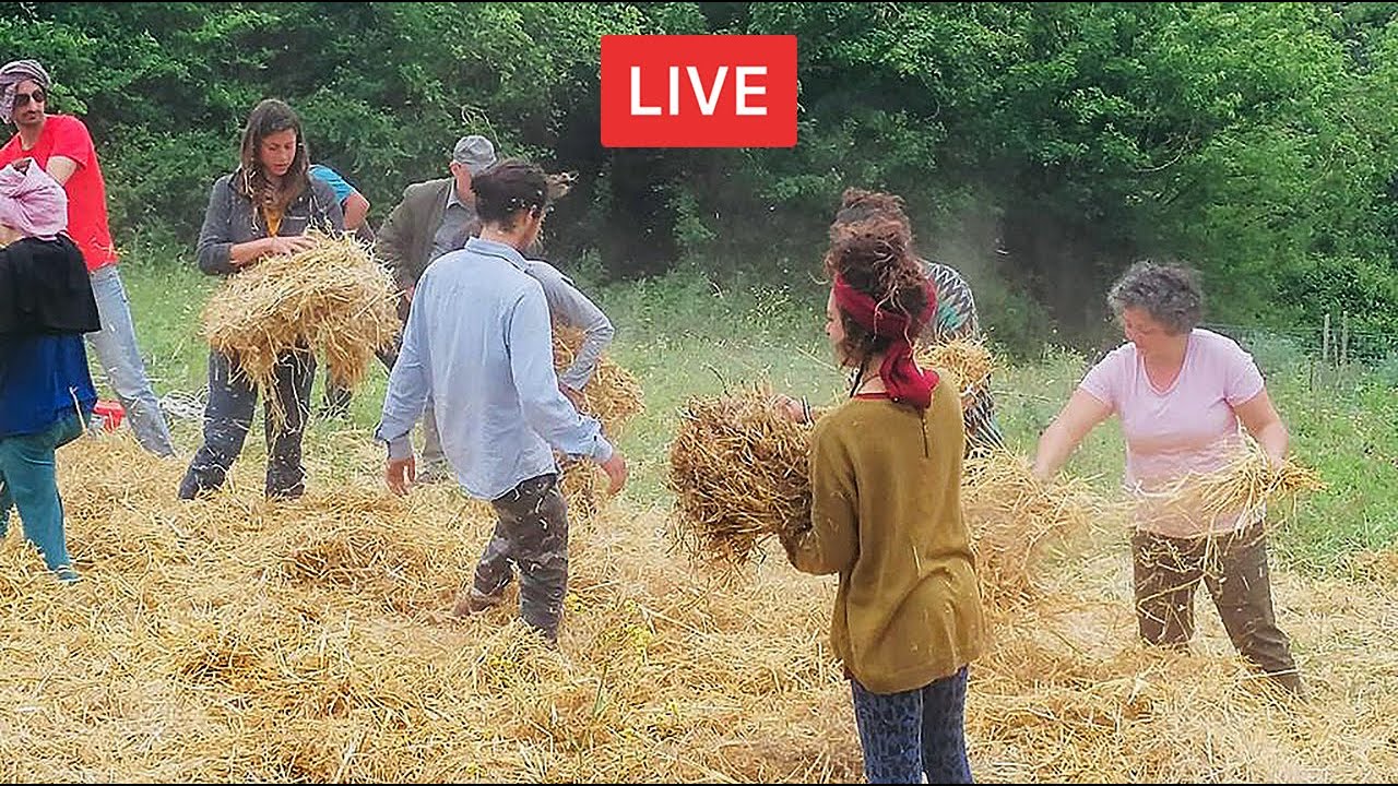L'ORTO NATURALE. Con Kutluhan Ödzemir