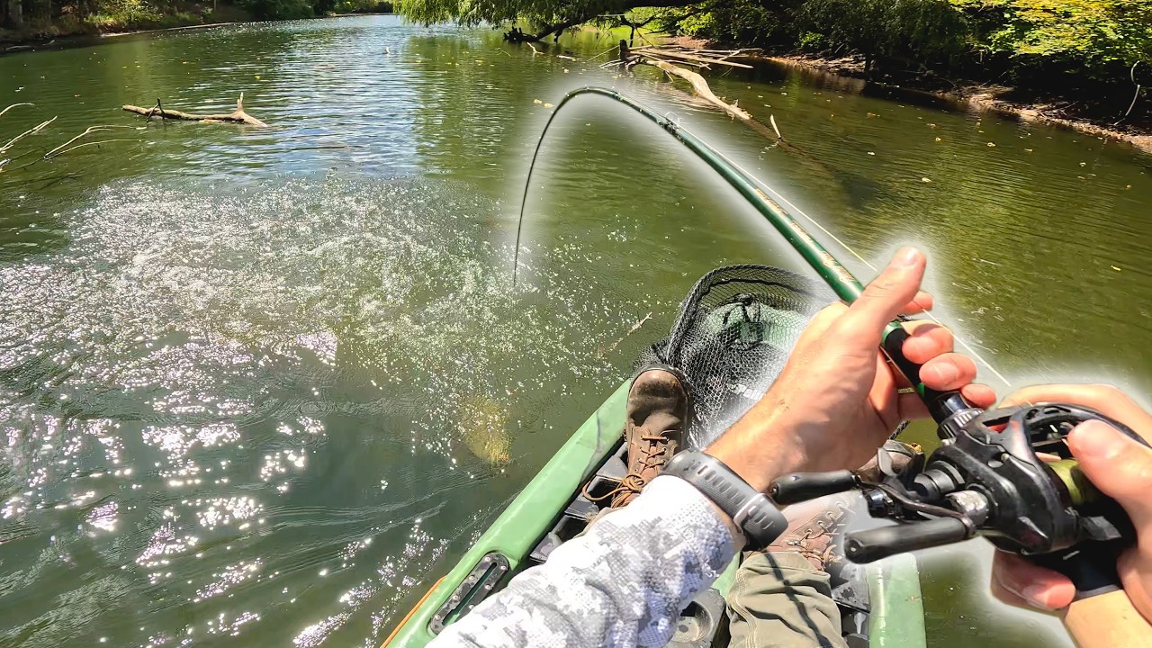 Smallmouth Can't Resist the Berkley Choppo
