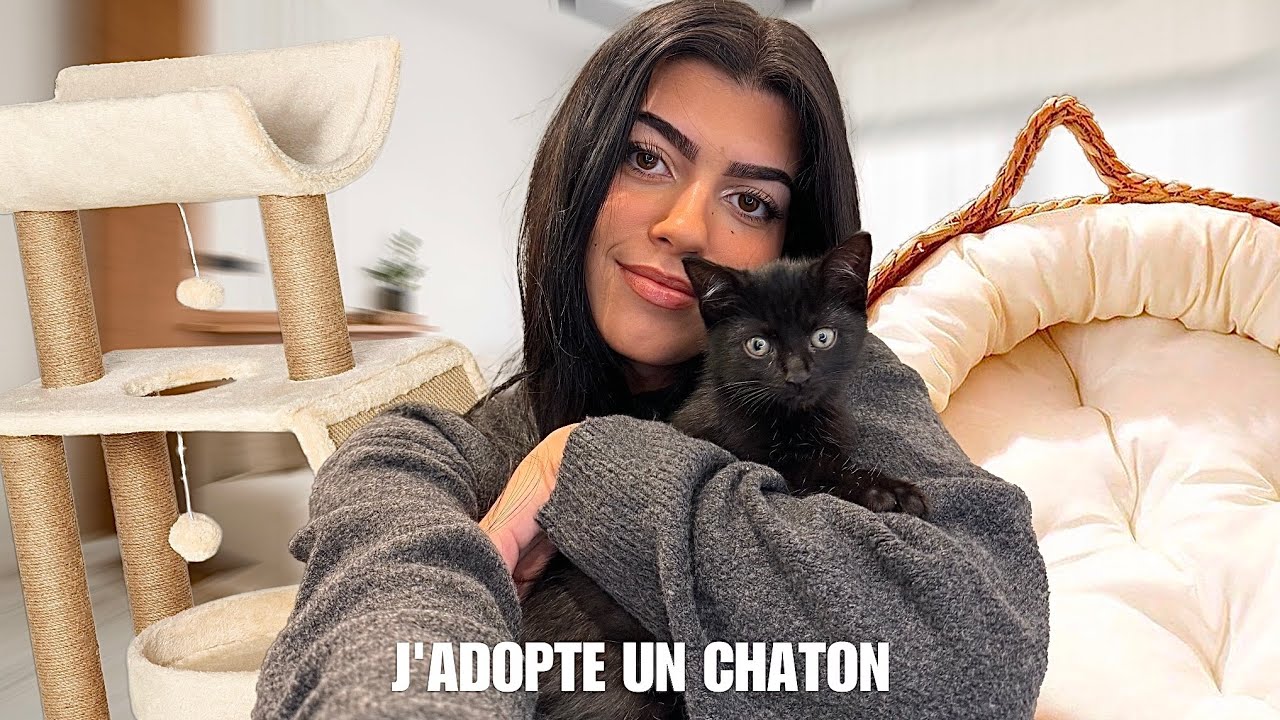 J'ADOPTE UN CHATON DE 2 MOIS 🥹