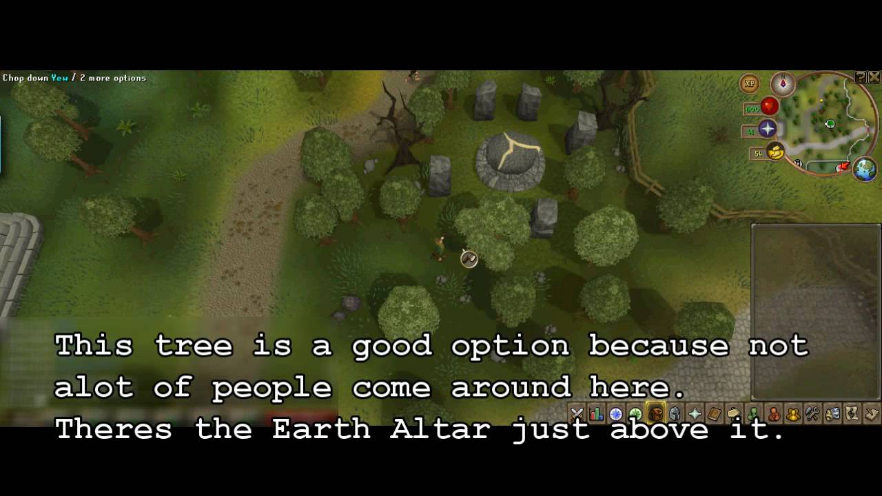 Cutting Yews in Runescape for Money