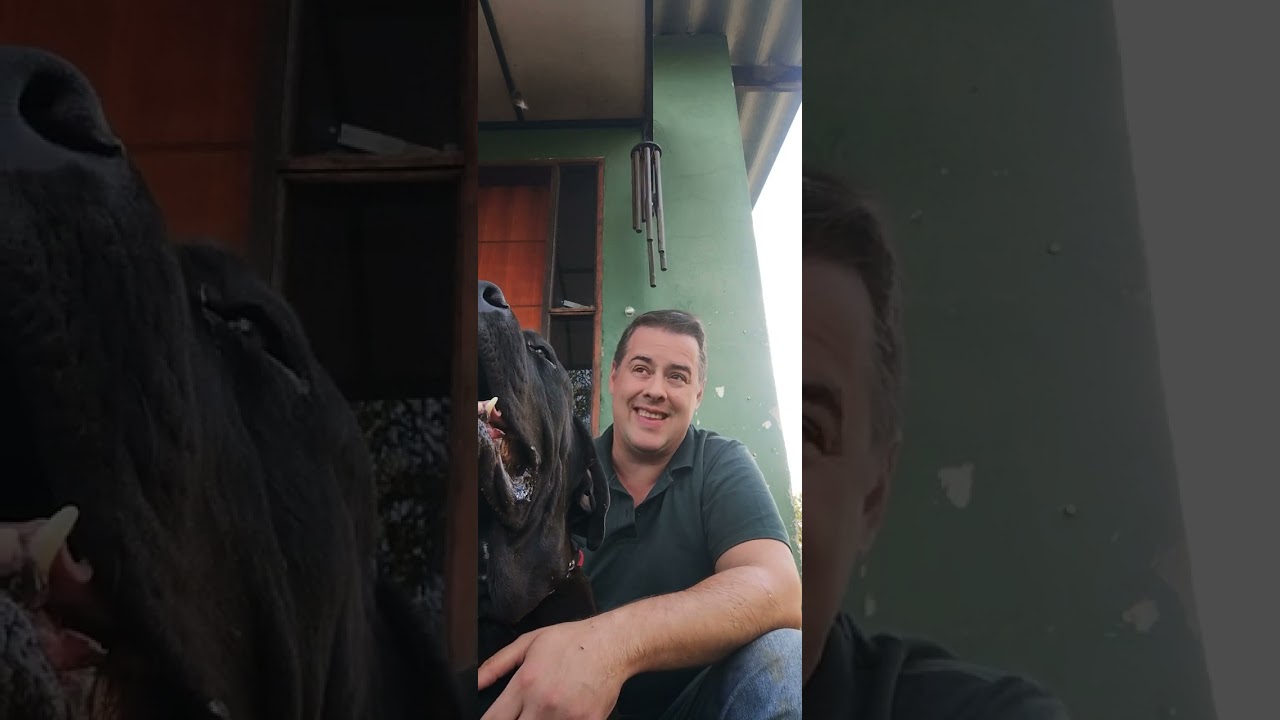 Fila Brasileiro Gigante Guardiões