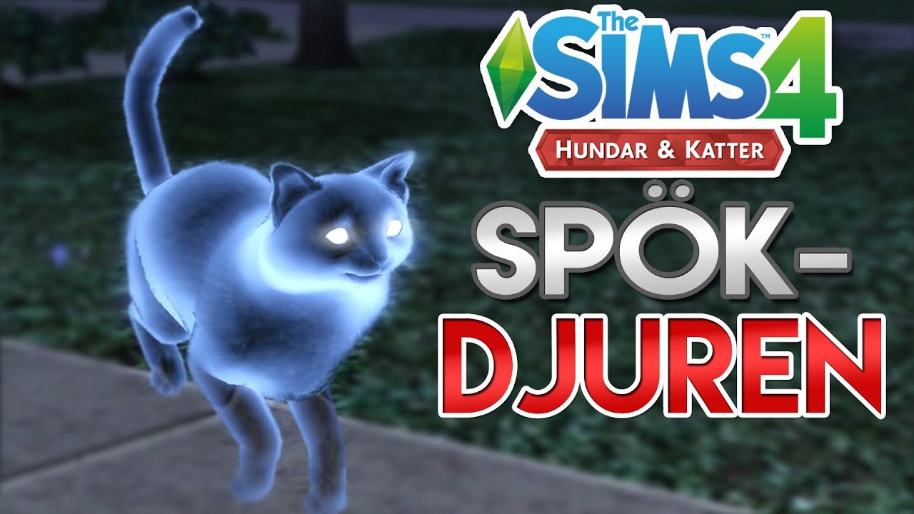 SpökDjuren!!  🙀👻  | Sims 4 Hundar & Katter