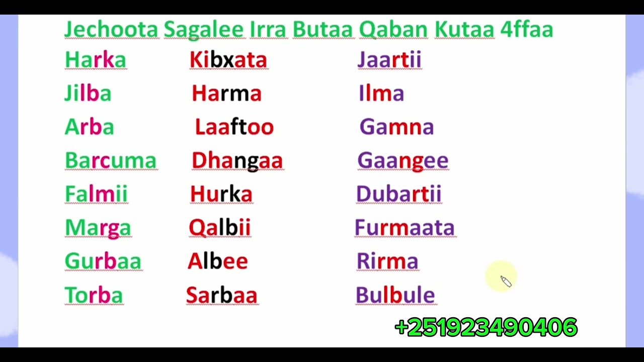 Sagalee Irra Butaa Qabaniin Hima Ijaaruu✍️✍️✍️ ✍️✍️ # Learn Afaan Oromoo #Amharic English letters