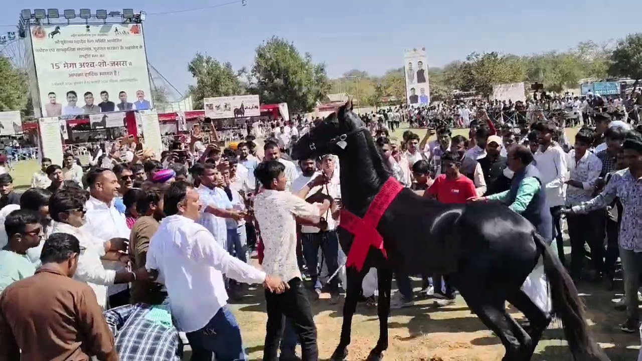 15 ફેબ્રુઆરી, 2026