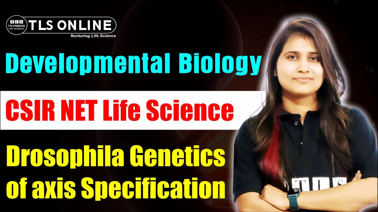 Drosophila Genetics of axis Specification |Developmental Biology | CSIR NET Life Science |