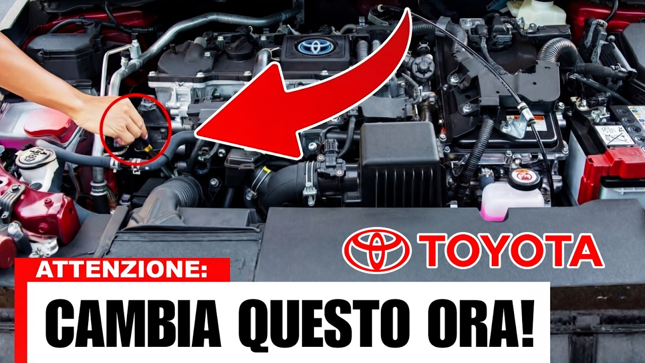 Il METODO GIAPPONESE Che fa Durare la tua Toyota e Suzuki Oltre 500.000km