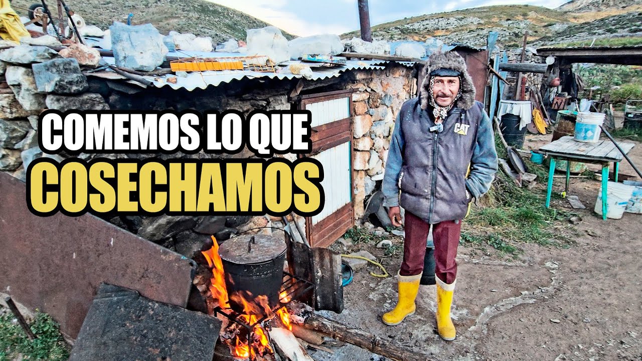 Con Frío ESTREMO en la SIERRA de 14 | cosechando PAPA para el almuerzo