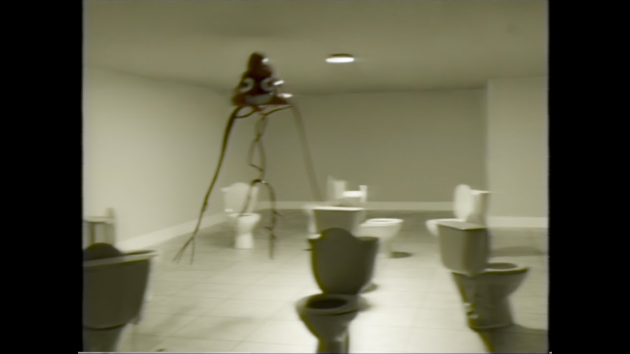 The Bathrooms (found footage)