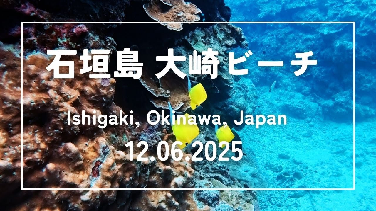 【素潜りの記録】石垣島 大崎ビーチ｜カラフルな海｜2025年12月06日