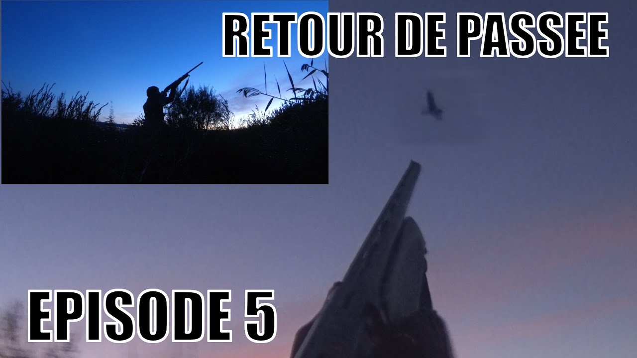 Retour de Passée - Episode 5: Coup de Migration en Provence - Chasse au Gibier d'Eau - MULTICAM