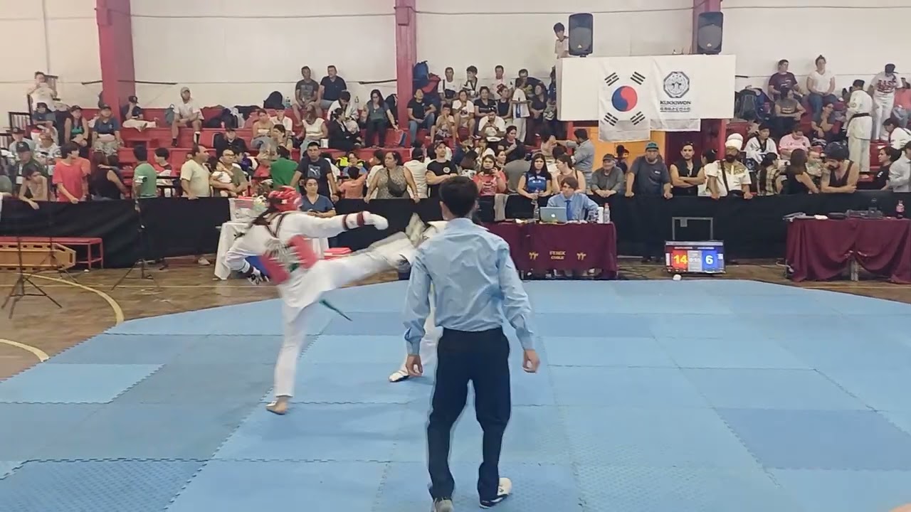 Julieta pichilemu 2026