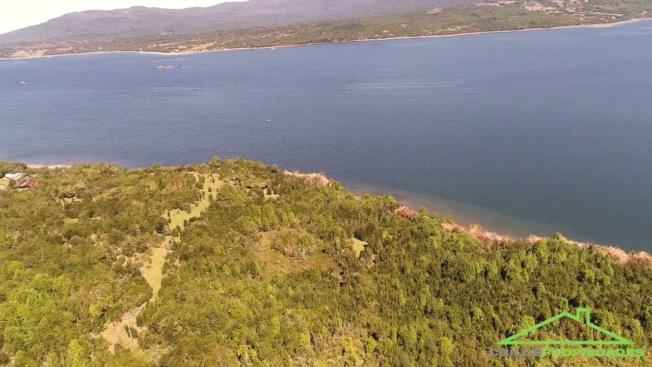 91 hectáreas Borde Mar en Venta – Isla Coldita, Quellón