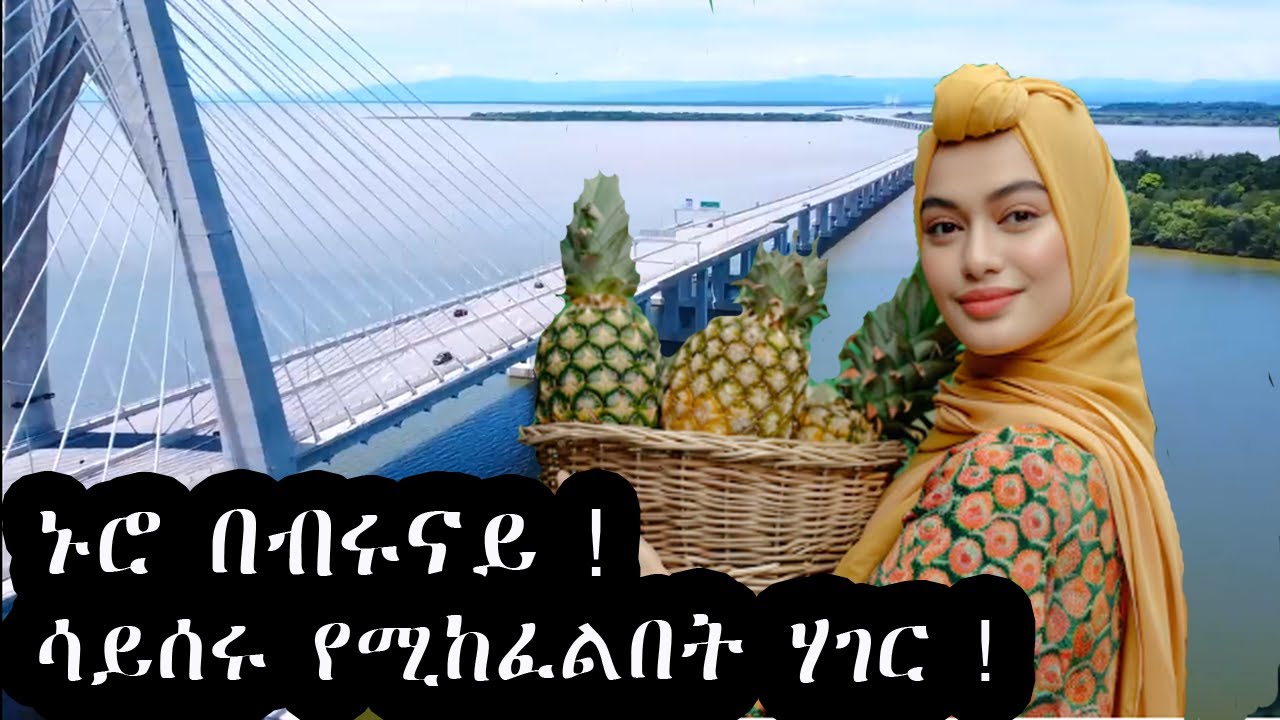 ኑሮ በብሩናይ ! ሳይሰሩ የሚከፈልበት  ሃገር ! Brunei A country where you get paid for not working