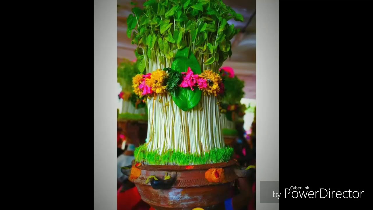 NPMSN ,nehrupuram silambinadu