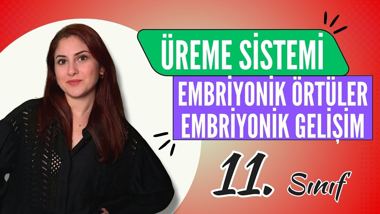 32) EMBRİYONİK ÖRTÜLER VE EMBRİYONİK GELİŞİM | 11. SINIF | AYT BİYOLOJİ DERS NOTLARI 2024