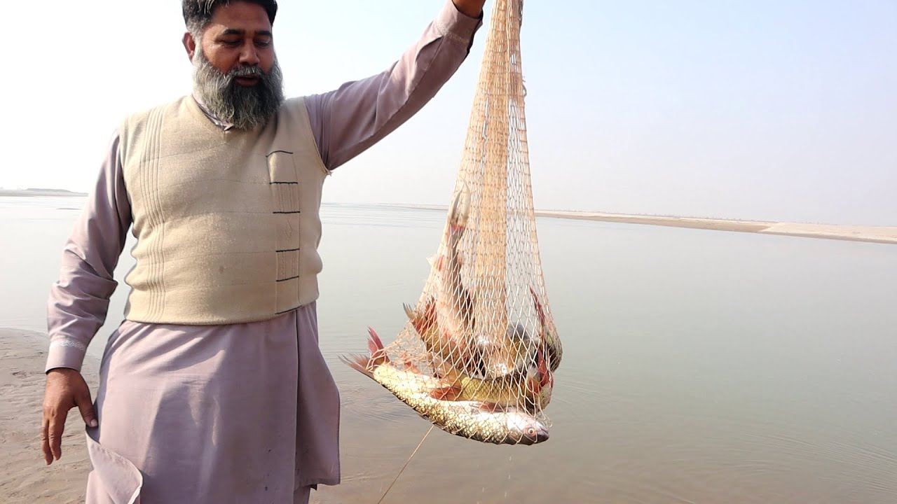 Full Night Fish Hunting At River Chenab with Friends | Fishing at Chenab River | Mubarak Ali