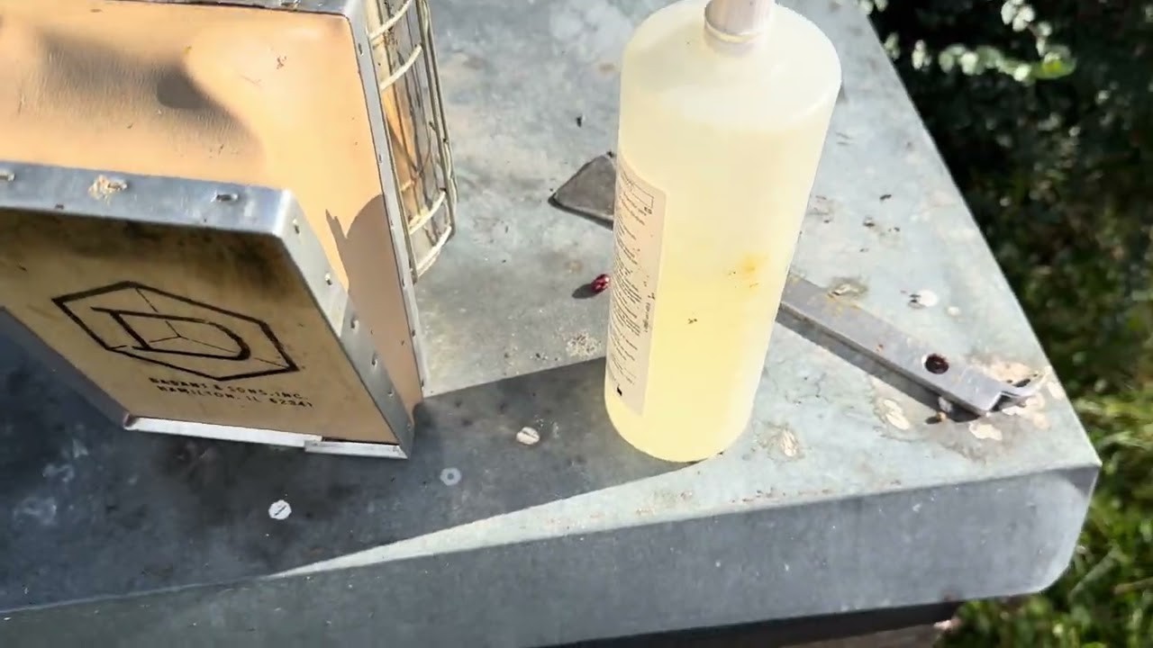 Binder jammert rum: Wenn der Beespace nicht stimmt kann man eine Thermofolie reinlegen