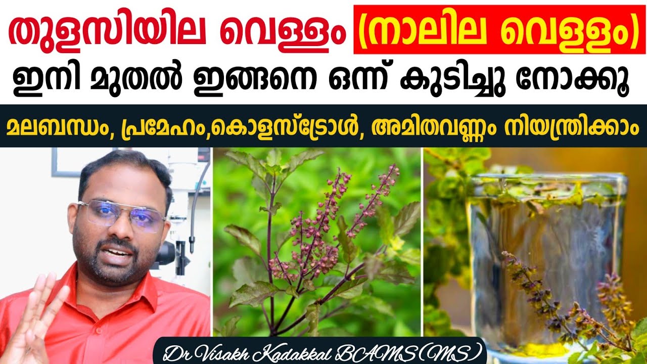 തുളസിയില വെള്ളം (നാലില വെളളം)🌿 ഇങ്ങനെ ഒന്ന് കുടിച്ച് നോക്കൂ; ശരീരത്തിലെ അത്ഭുത മാറ്റങ്ങൾ കണ്ടറിയാം 💯