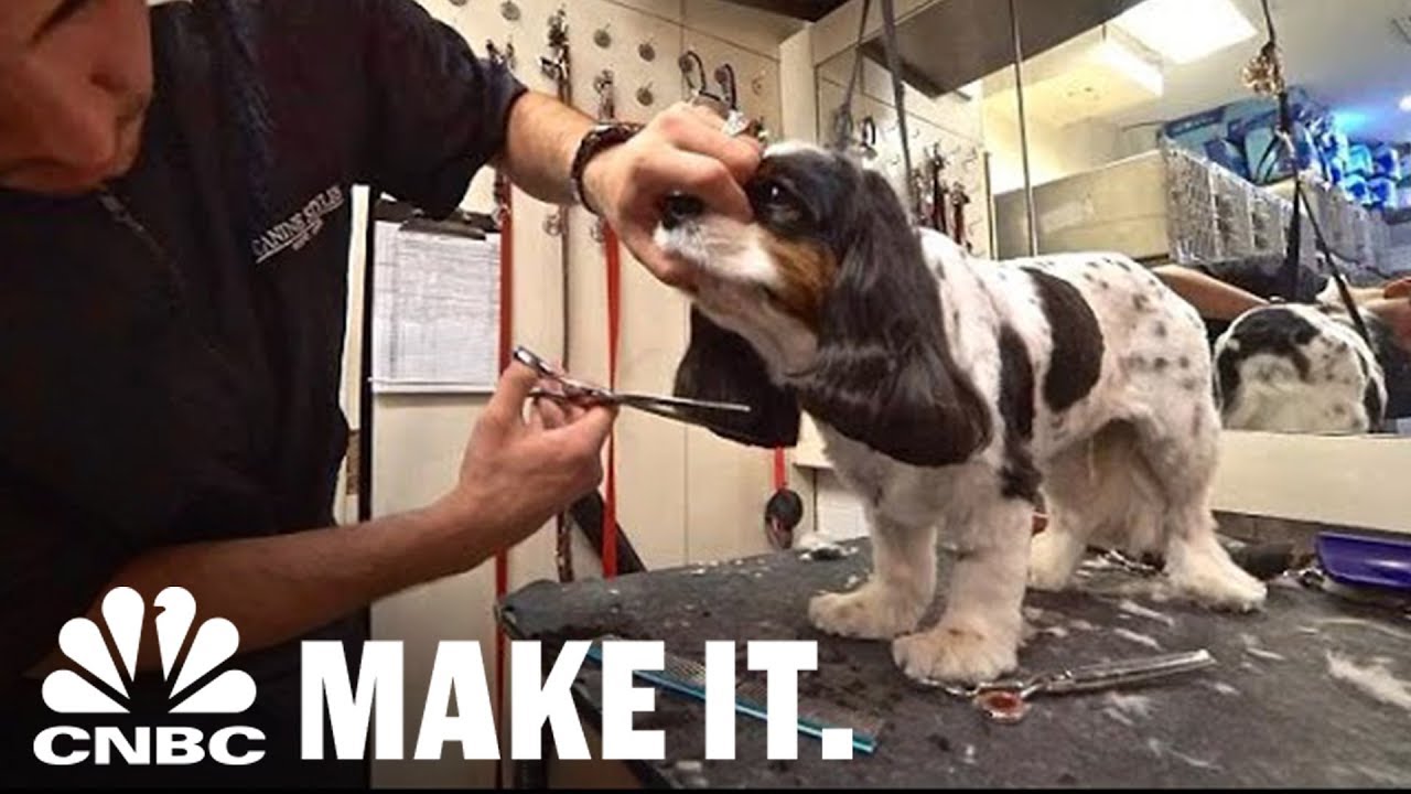 Pamper Your Pooch At Canine Styles, The NYC Luxury Boutique For Dogs | CNBC Make It.