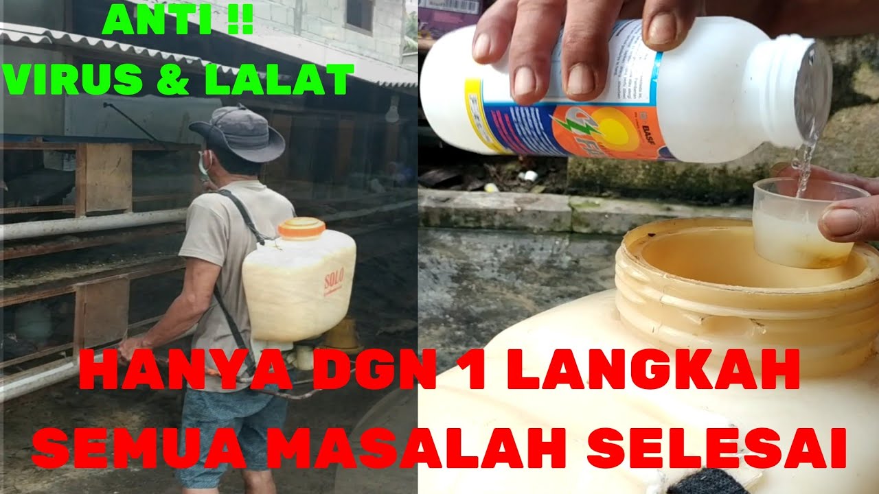 CUKUP 1 LANGKAH SEMUA MASALAH SELESAI