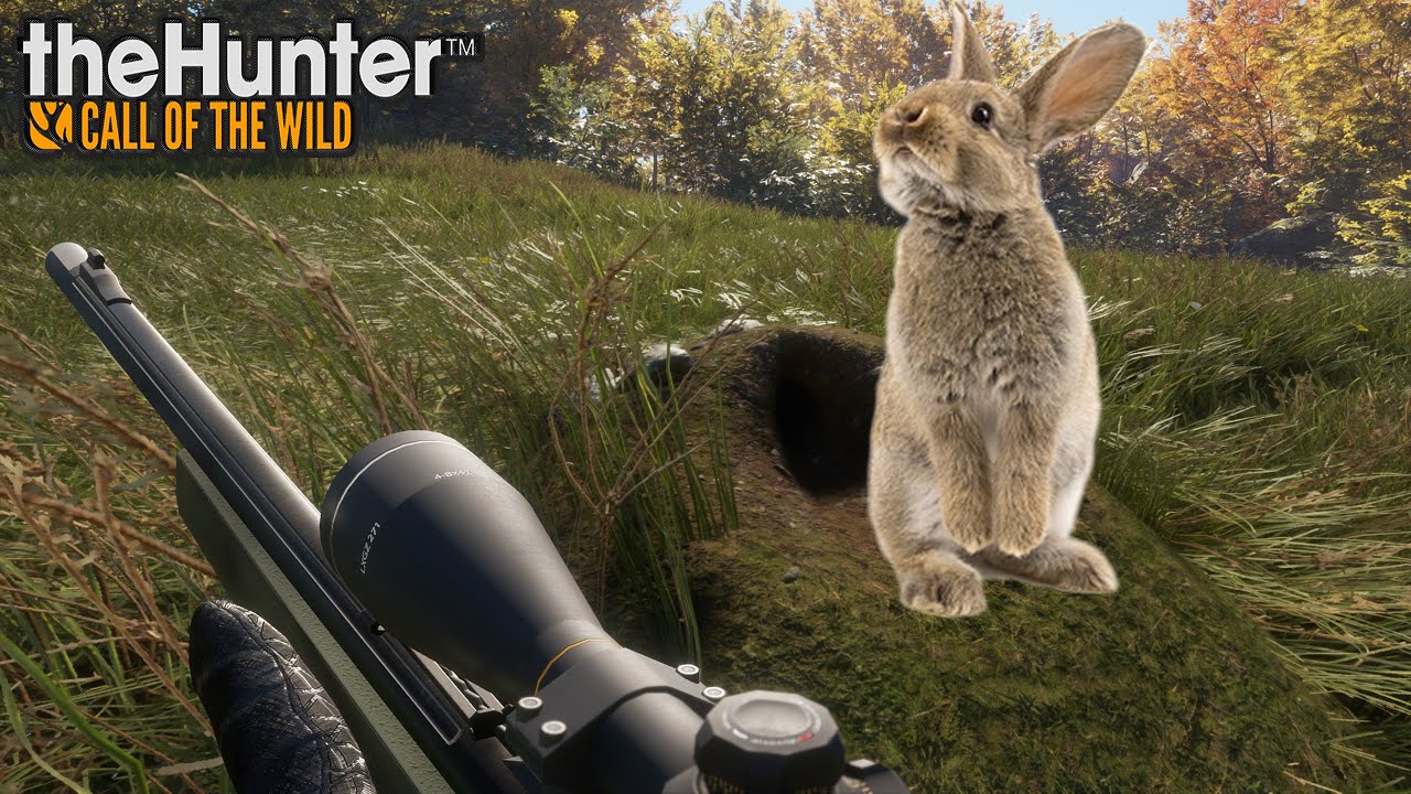 THEHUNTER COTW #113 LA CHASSE AUX LAPINS DE GARENNES