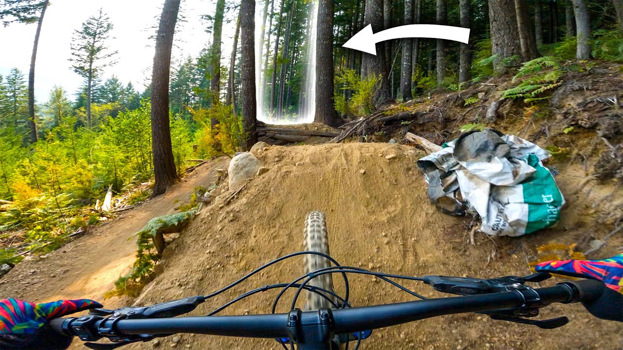 Goalposting Trees is more Sketchy on E-Bikes!