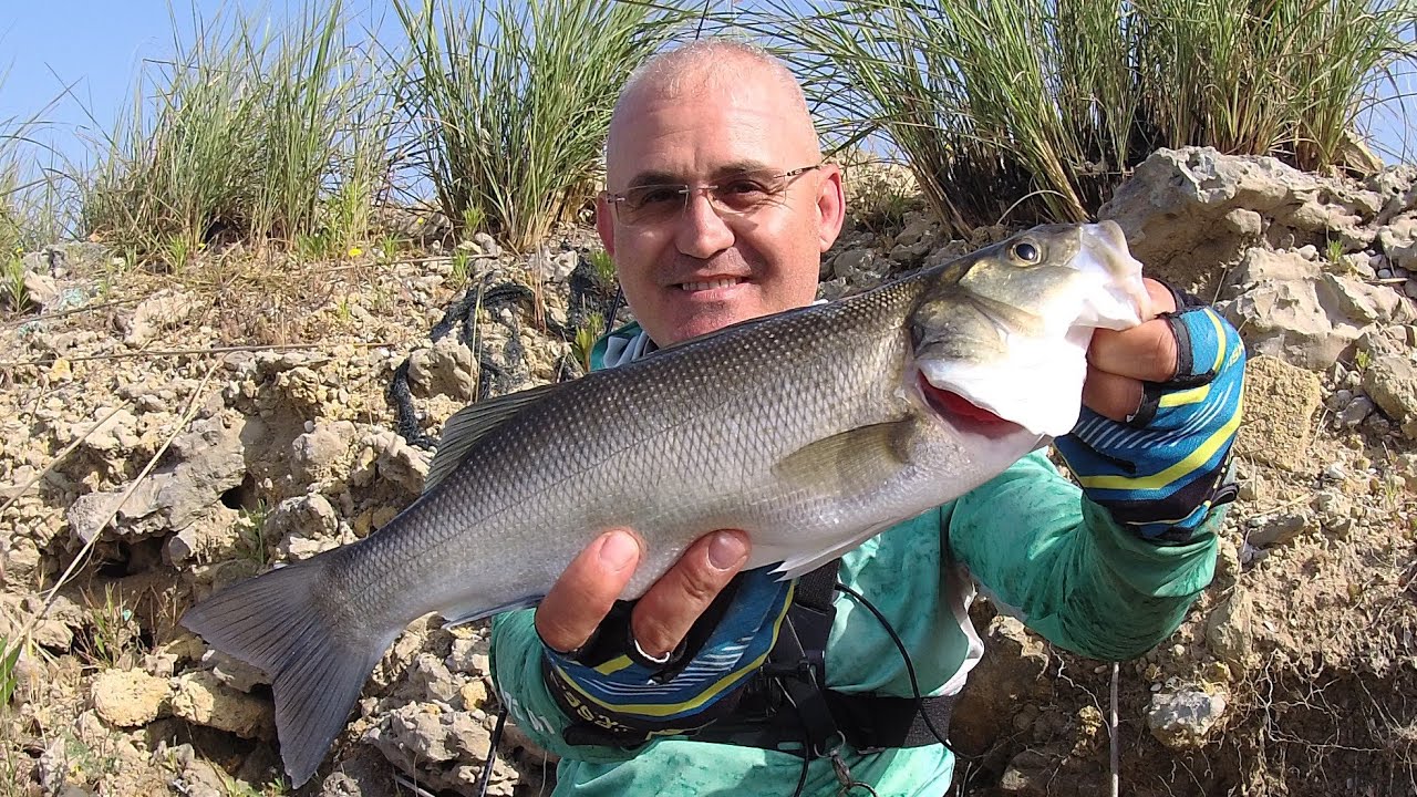 LEVREK avı kaçanın yerine teselliyi aldık#avmania#fishing#balık#lrf#levrek #doğa #avmaniafishingteam