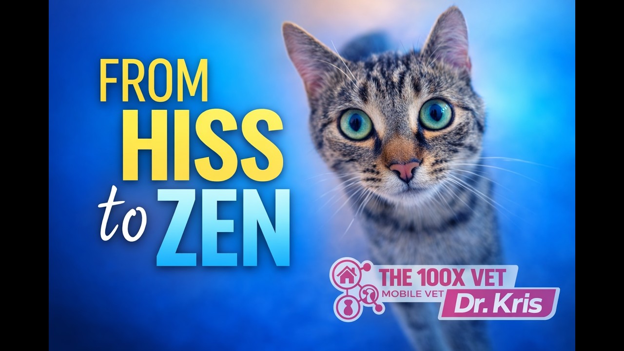 How to Make Vet Visits Calm and Predictable for Your Cat - THE SCIENCE OF CALMER CATS for Vet Visits
