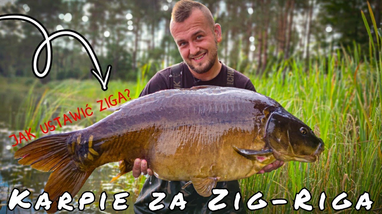 Jak ustawić Zigaaa? Karpie na Zig-Riga - Vlog18