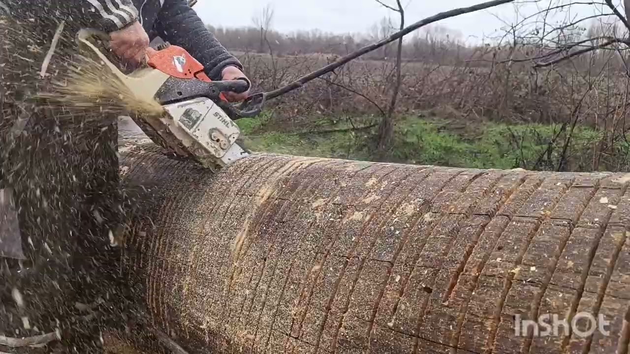 STIHL 028 SUPER and STIHL MS270 