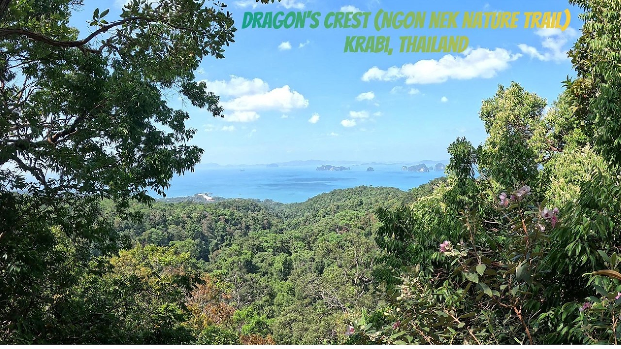 Dragon's Crest Nature Trail, Krabi Thailand Jan 26