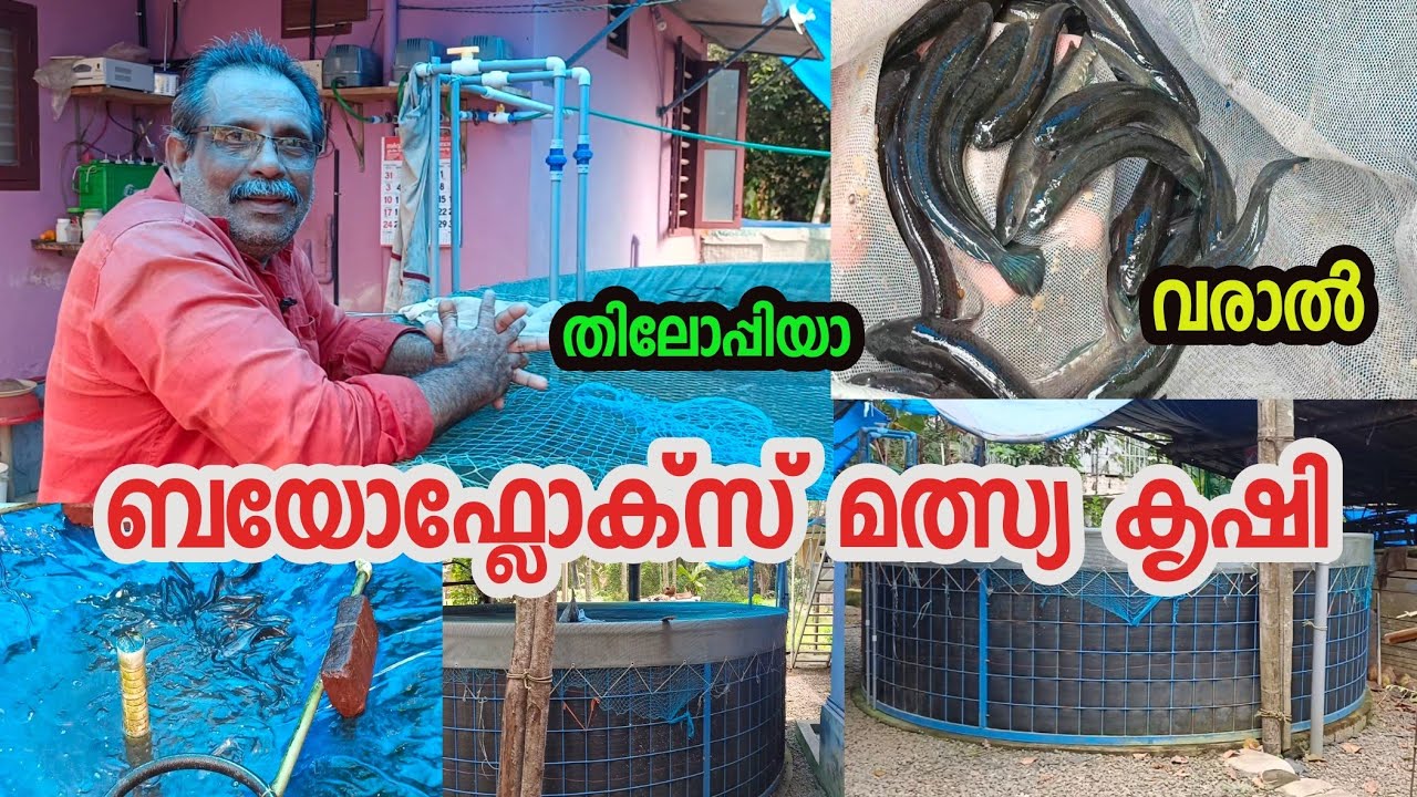Biofloc Fish Farming Malayalam |  മികച്ച ആദായം നല്‍കുന്ന ബയോഫ്‌ളോക്ക് കൃഷിരിതി | Farming Malayalam
