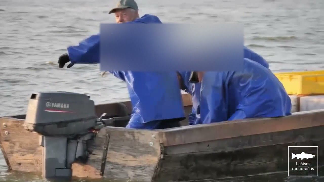 Kuršių mariose – įžūlus verslaujančių žvejų elgesys: iškeikė ir apmėtė žuvimi