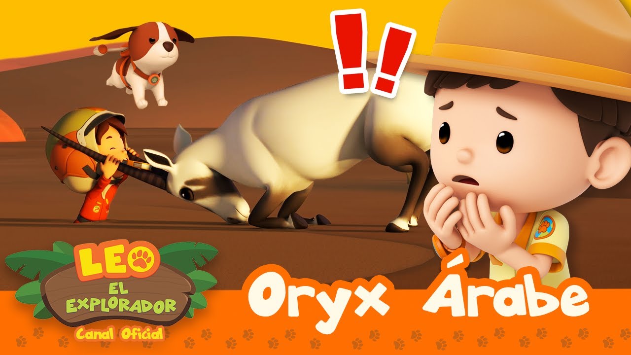 ¡Es un UNICORNIO... con DOS CUERNOS?! | Oryx Árabe | Leo, El Explorador | Animación | #compilation