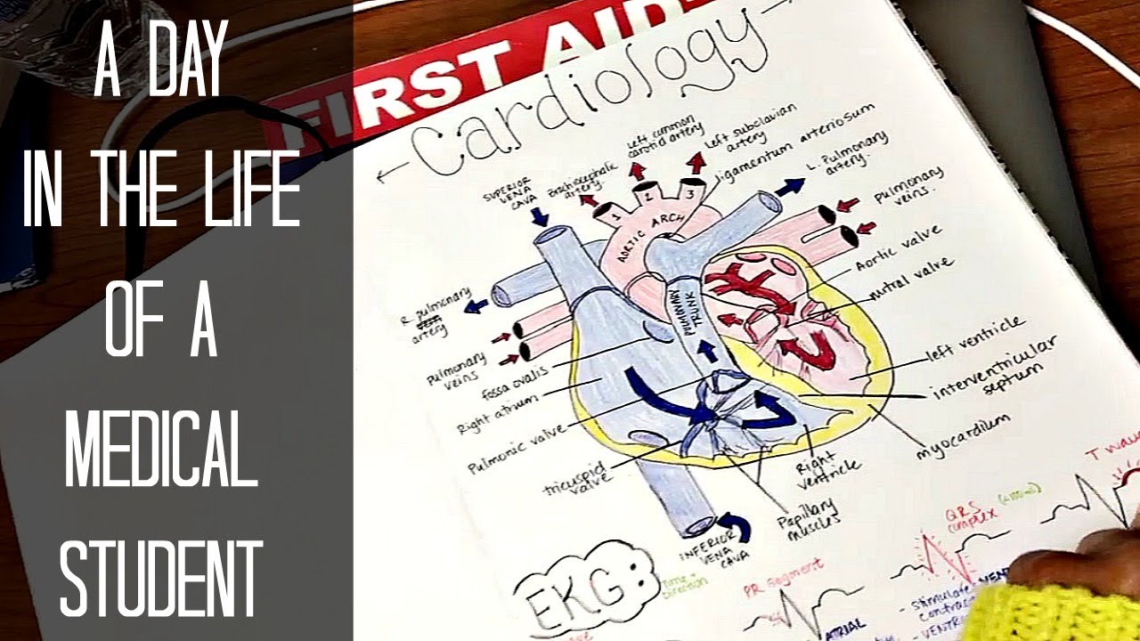 A Day in the Life of a First Year Medical Student | Med School Vlog #14