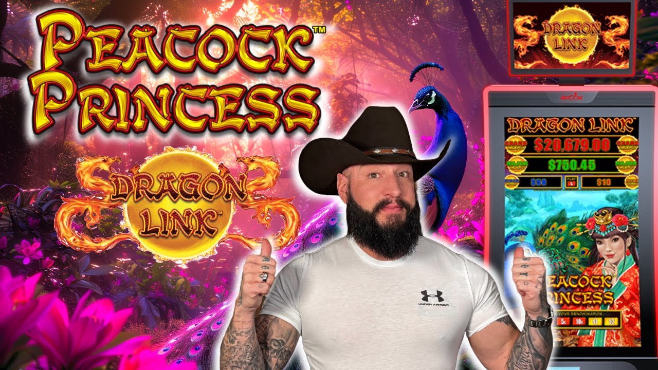 Dragon Link Peacock Princess Slot 🎰 How to Play it and about the game!