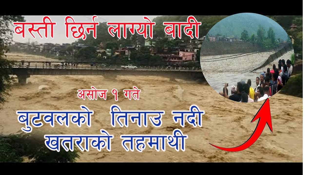 हेर्नुहोस बुटवल तिनाउ खोलामा आयो डरलाग्दो बाढी बस्ति खतरामा tinau river butwal today news nepal