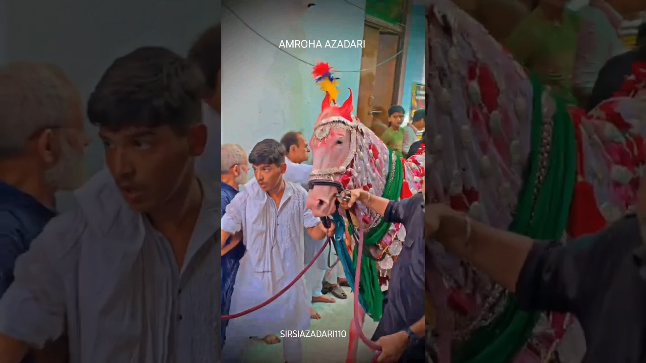 Wa Waila 😢 Amroha Azadari 2024 #zuljnah #amrohaazadari #sirsiazadari110 #karbala #hussainas #azadari