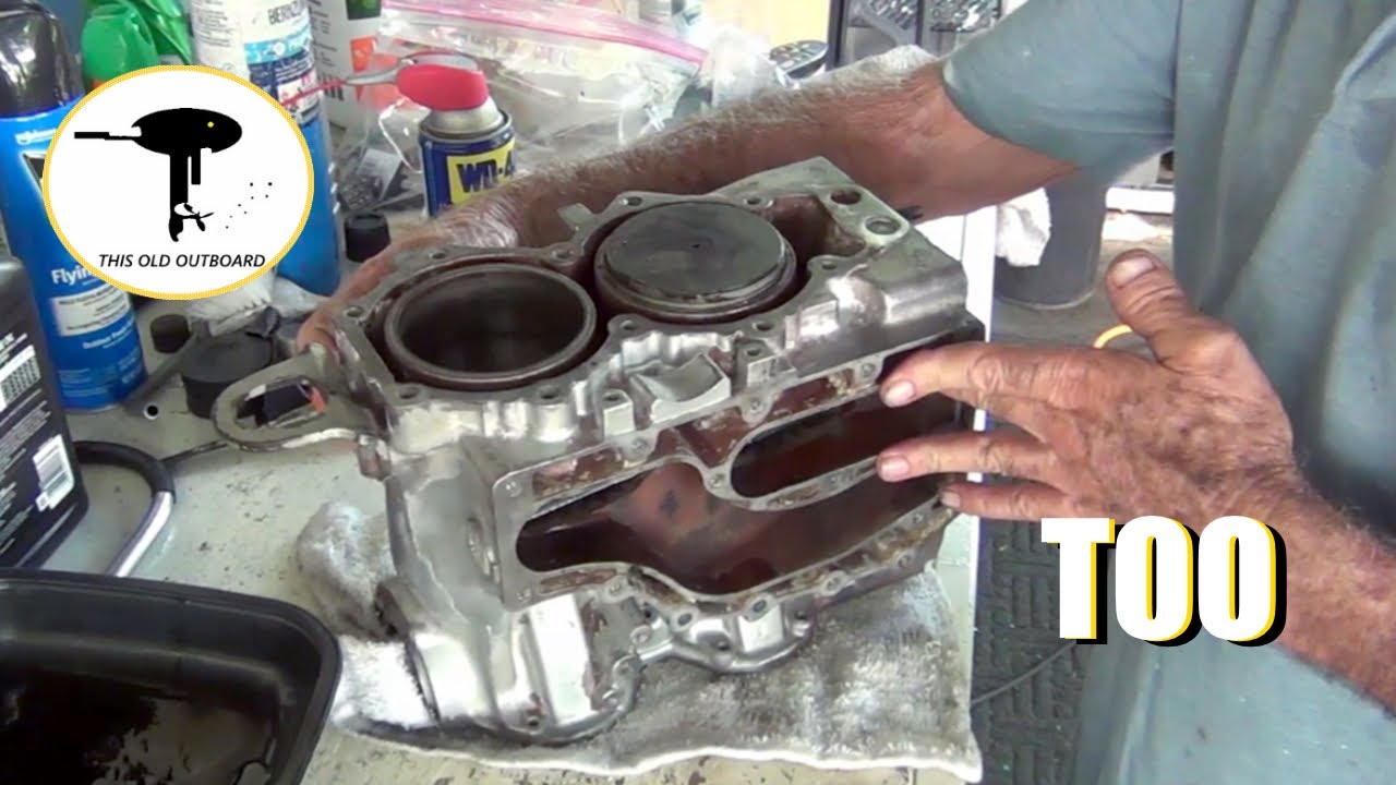 Evinrude 55 Hp Build Continues, The Bass Boat & That Snake Thing