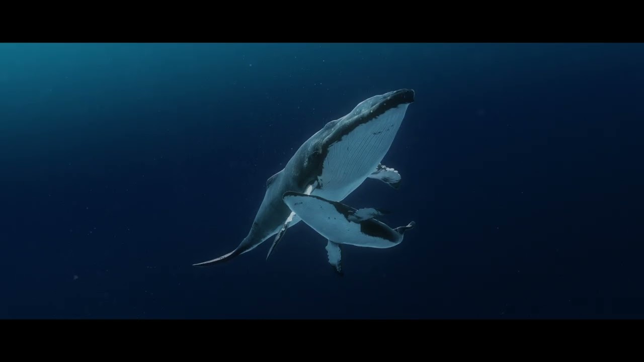 Imagine stopping deep sea mining before it started.