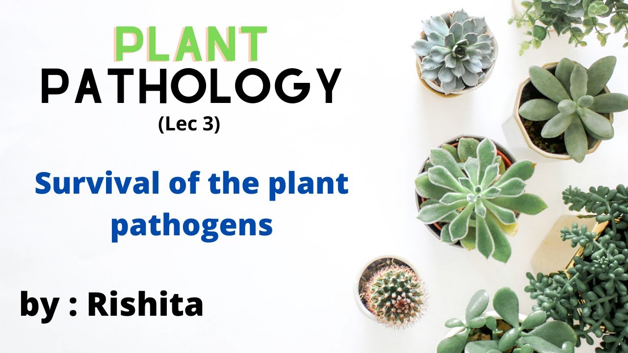 Survival of plant pathogens • Plant Pathology lec 3 • Go For Agriculture Education 