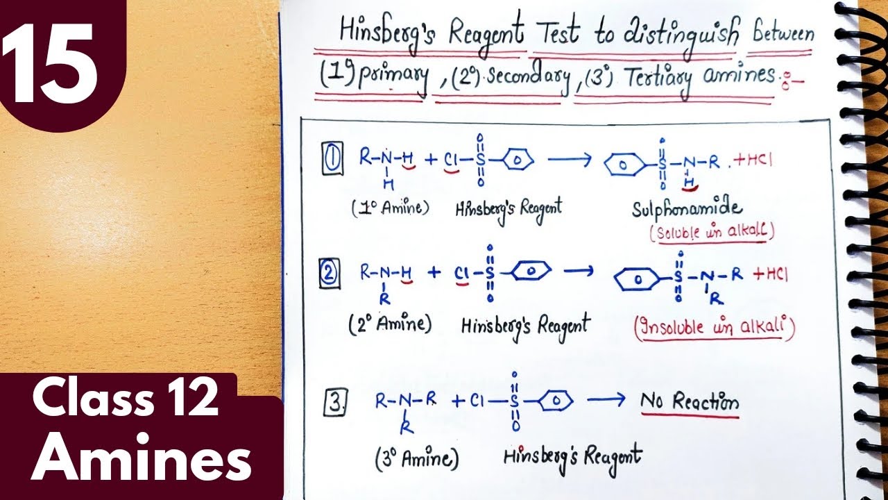 15) Hinsberg's Reagent| Hinsberg's Test to distinguish primary, sec, tert amines| Amines Class12