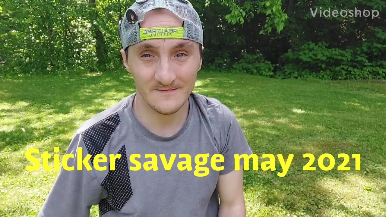 Sticker Savage Review Subscription Box Unboxing.