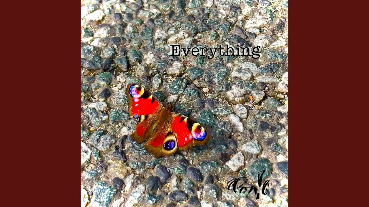 Everything