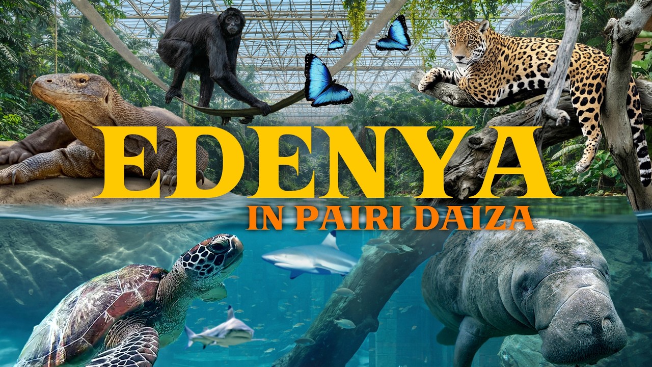 Edenya Review: The Largest Tropical Hall — Is It Worth the Hype?