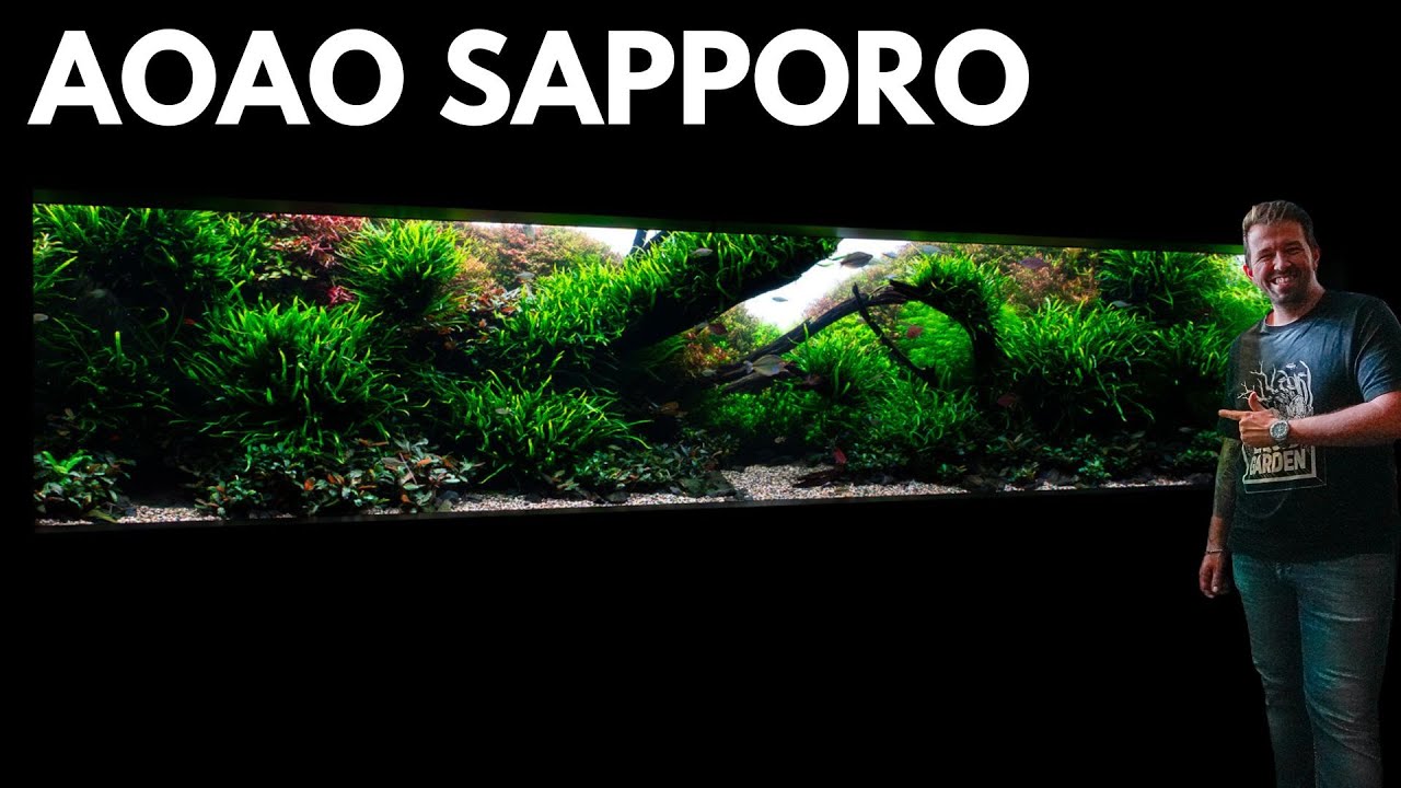 Die schönsten und größten Aquarien in Japan! AOAO SAPPORO
