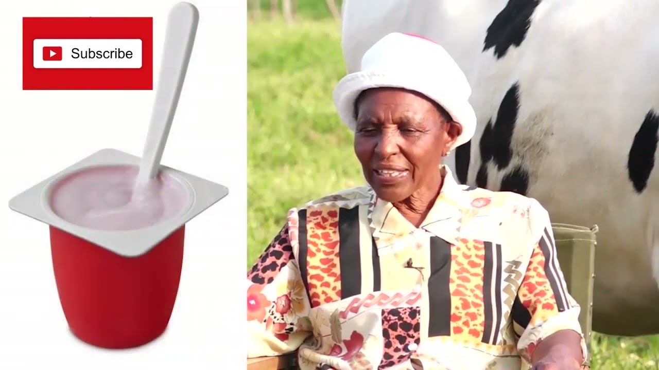 FROM 2 COWS TO 70 COWS, FROM 20L OF MILK A DAY  TO 500L A DAY, THE STORY OF MARGARET WAMUCII, NAKURU